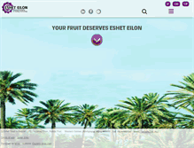 Tablet Screenshot of eshet.co.il
